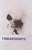 藏品(皺葉小石苔)的圖片